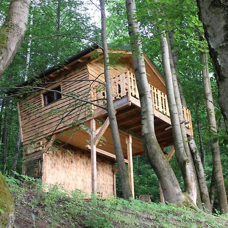 Treehouse Velké Losiny מראה חיצוני תמונה