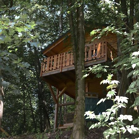 Treehouse Velké Losiny מראה חיצוני תמונה