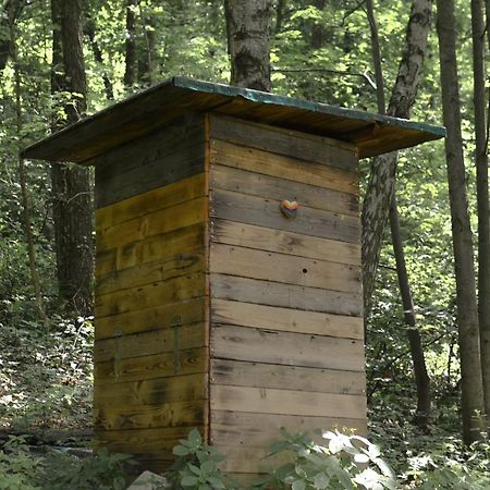Treehouse Velké Losiny מראה חיצוני תמונה