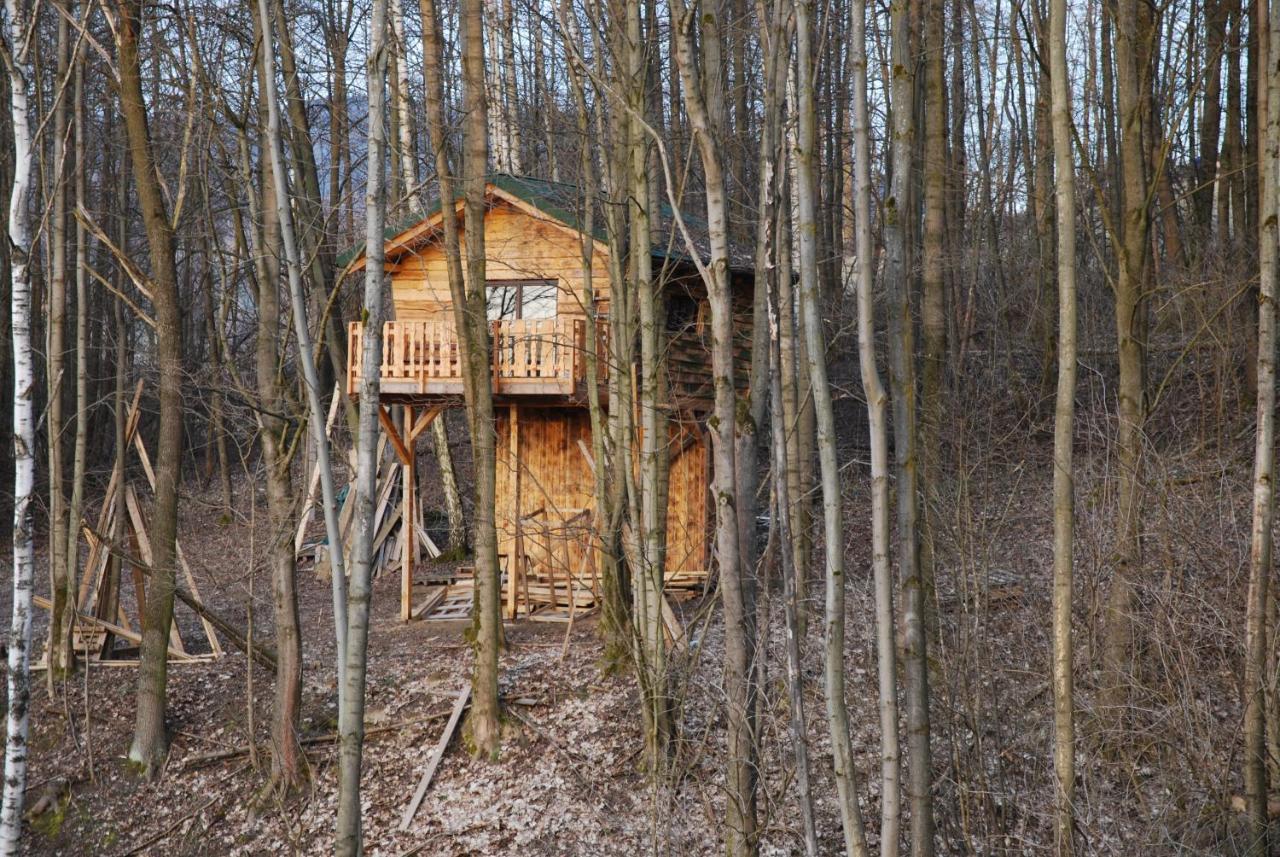 Treehouse Velké Losiny מראה חיצוני תמונה