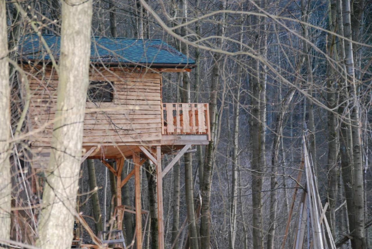 Treehouse Velké Losiny מראה חיצוני תמונה