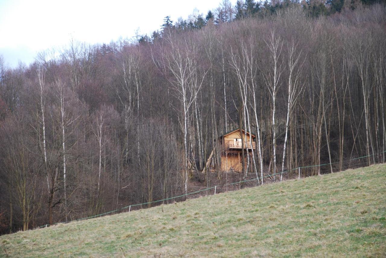 Treehouse Velké Losiny מראה חיצוני תמונה