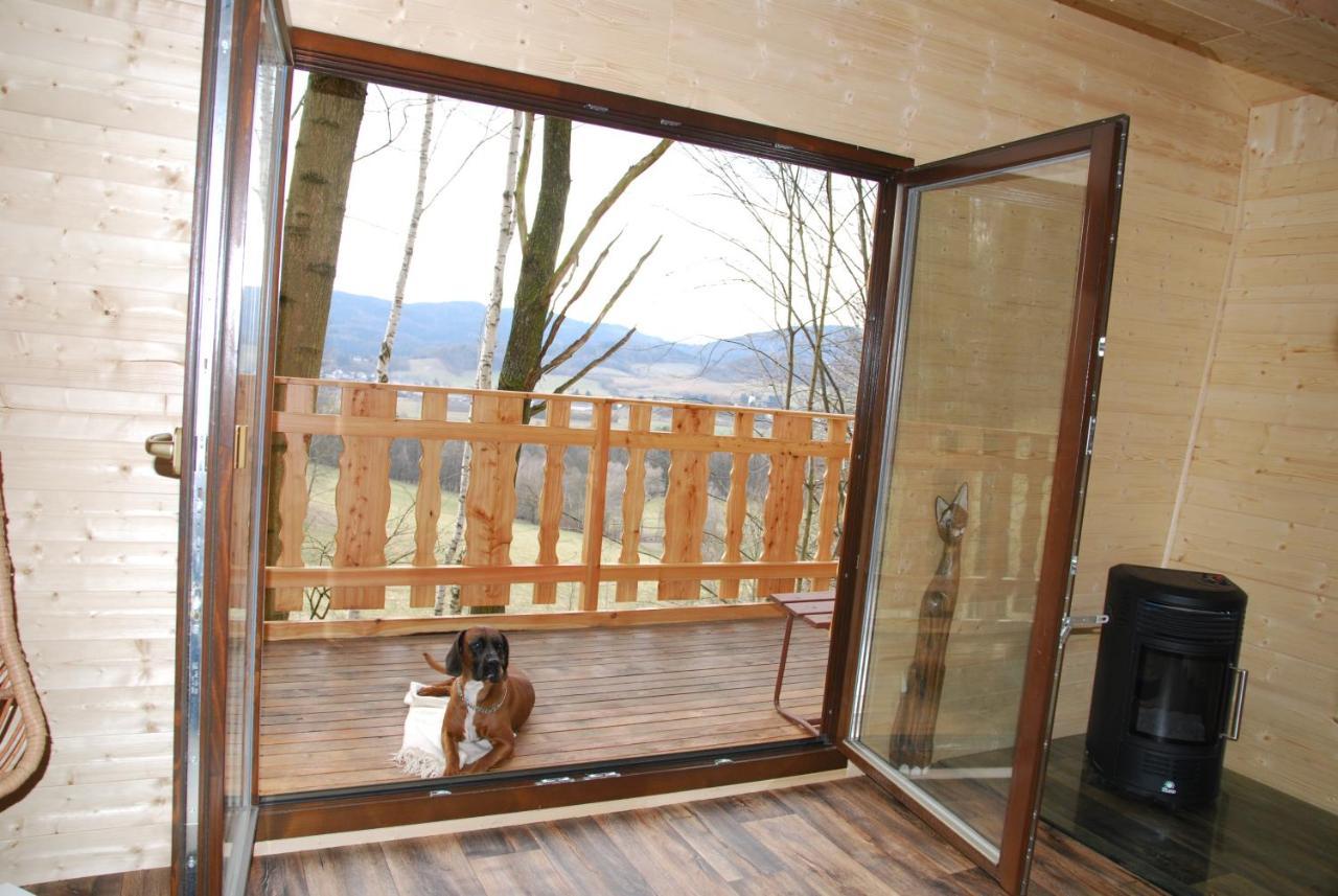 Treehouse Velké Losiny מראה חיצוני תמונה
