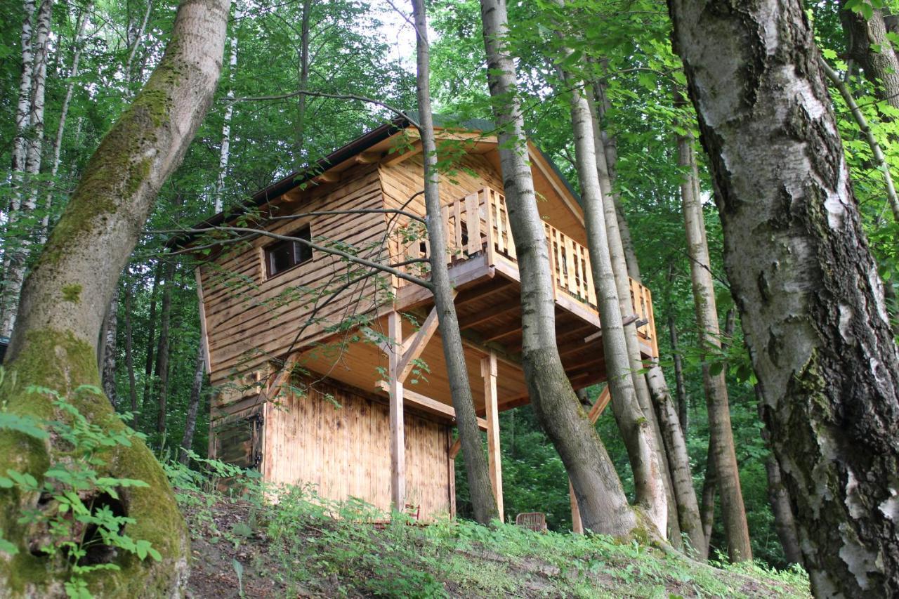 Treehouse Velké Losiny מראה חיצוני תמונה