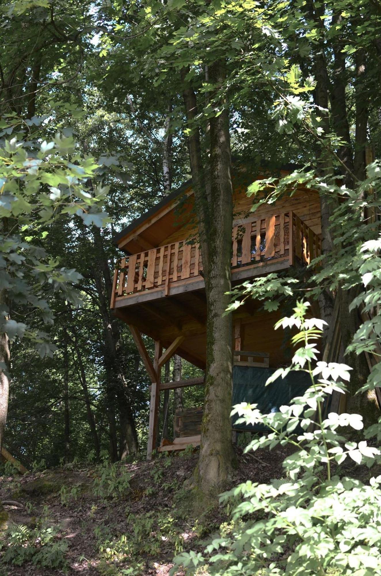Treehouse Velké Losiny מראה חיצוני תמונה