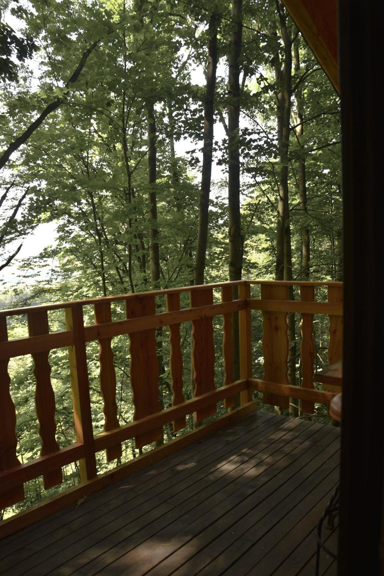Treehouse Velké Losiny מראה חיצוני תמונה