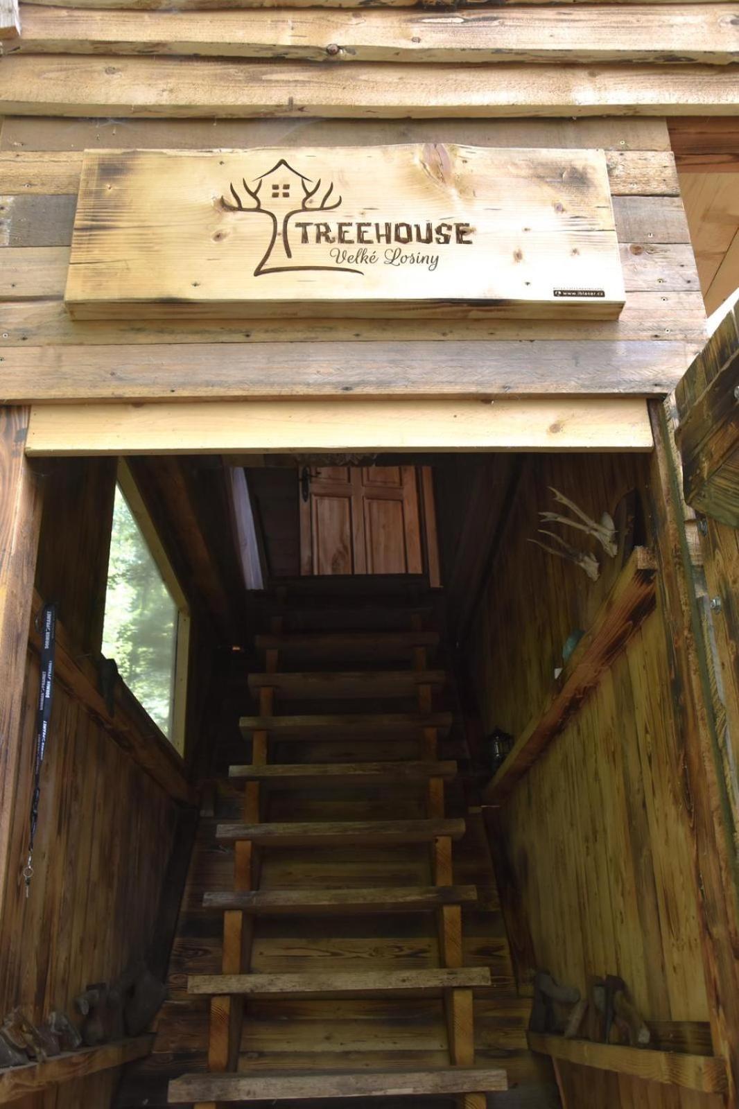 Treehouse Velké Losiny מראה חיצוני תמונה