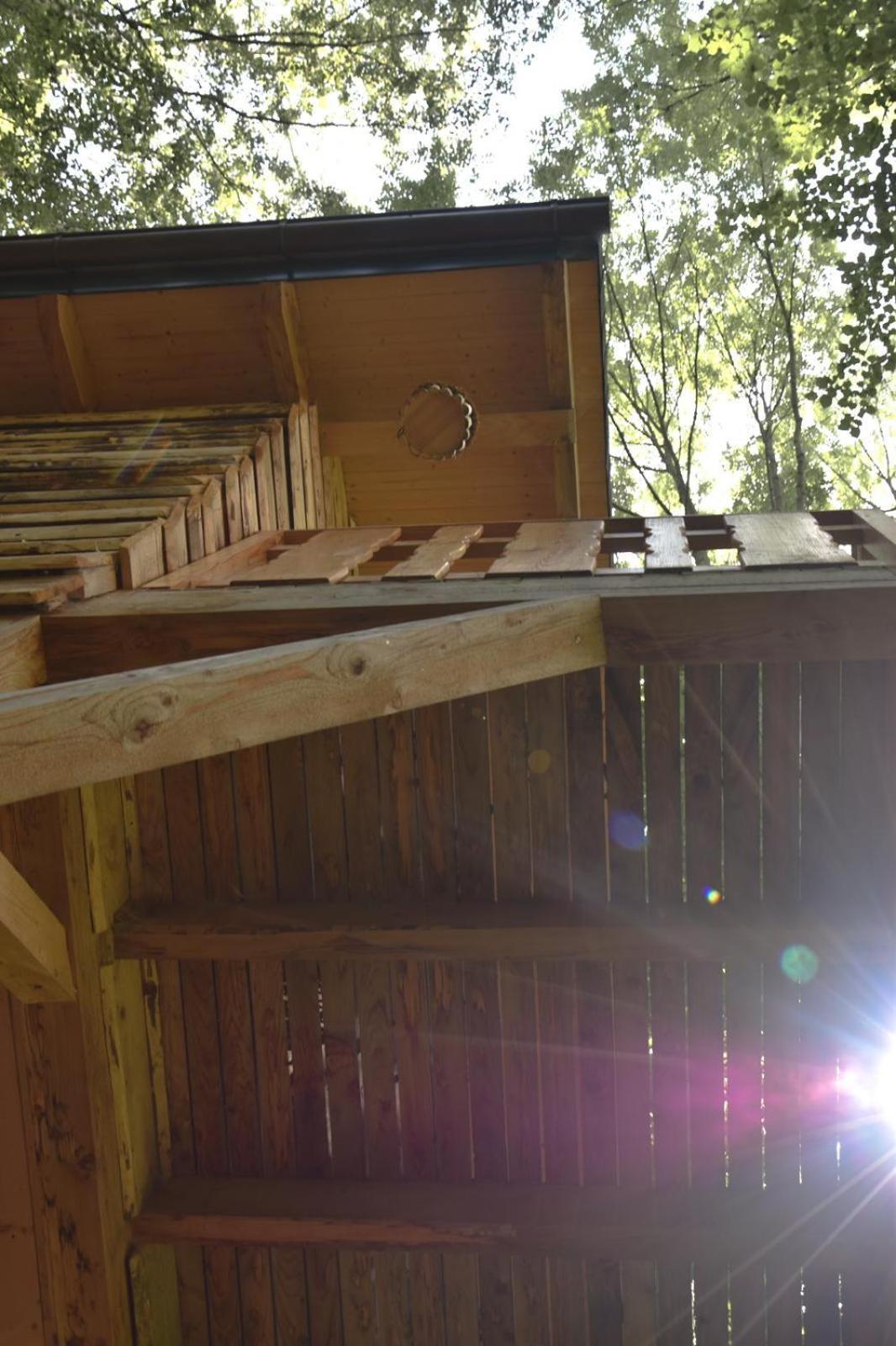 Treehouse Velké Losiny מראה חיצוני תמונה